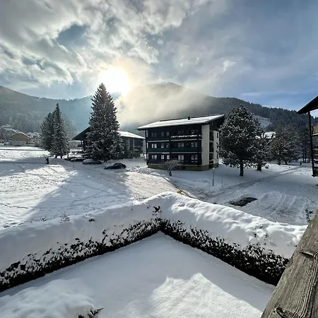 公寓 Alpenhof Apartment Ski & Spa Nearby 巴德小基希海姆
