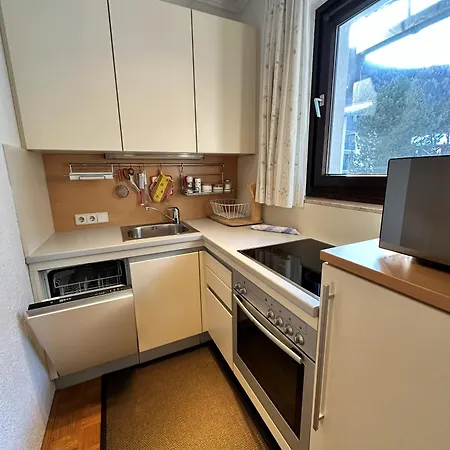 公寓 Alpenhof Apartment Ski & Spa Nearby 巴德小基希海姆